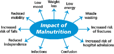 malnutrition effects -diagram